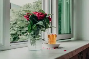 pexels zulfugarkarimov 33781421